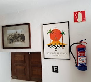 Weinmuseum und Kakteen-Ausstellung El Grifo