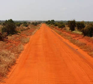 Tsavo Ost