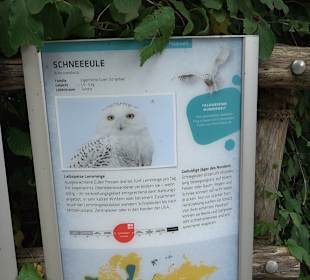 Tierpark Hellabrunn