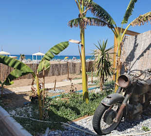 Viking Beach Club - Sanitärbereich