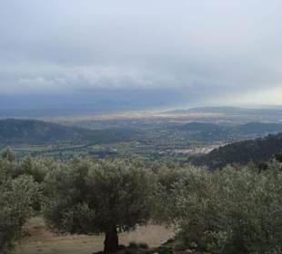 Restaurant ES VERGER – Castell d’Alaró