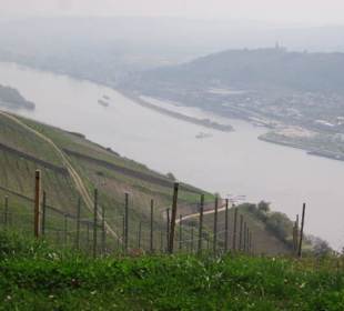 Osteinscher Landschaftspark Weinberge