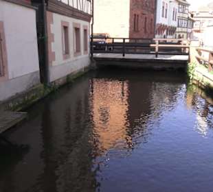 Museum unterm Trifels