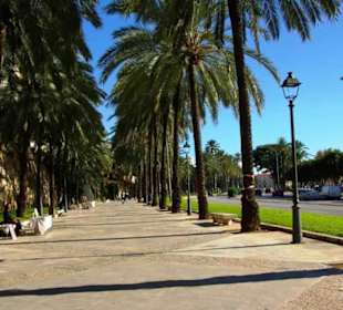 An der Promenade entlang