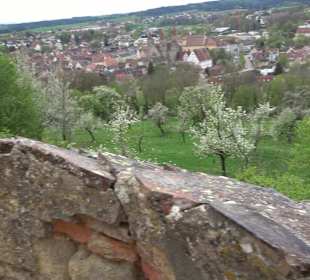 Schloss ob Ellwangen