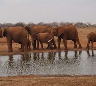 Tsavo East