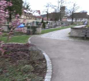 Friedhof Neckartenzlingen