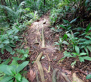 Parque Natural Obô do Príncipe