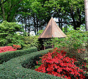 Spaziergang durch den Rhododendronpark im Mai