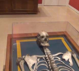 Nationalmuseum der Anthropologie