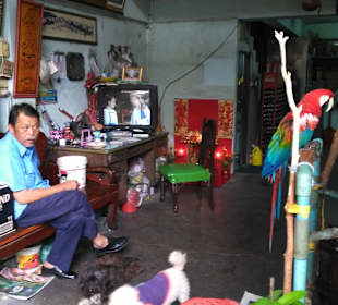 Mit Green-Mango Bangkok Touren das ursprüngliche BKK entdeck