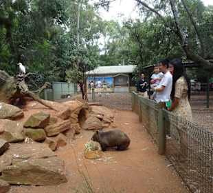 Stadtrundgang Sydney