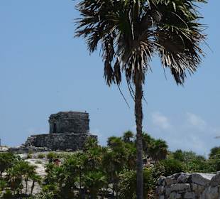 Das Schloss mit Palme
