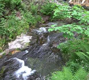 Wasserfälle Allerheiligen