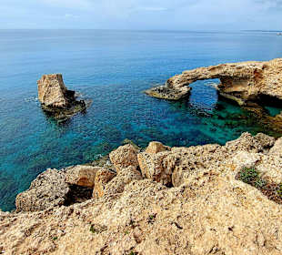 Ayia Napa Bogen Monachus Monachus