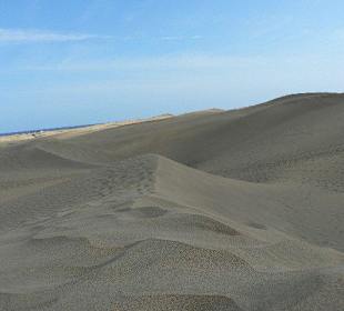 Dünenlandschaft