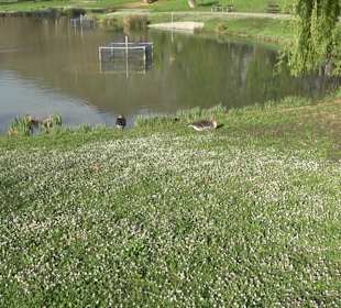 Unterer Schlossgarten Stuttgart