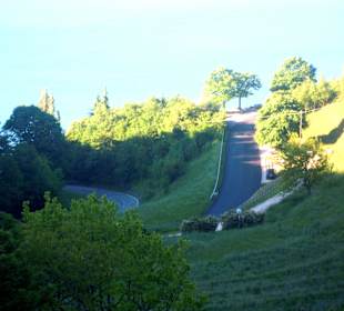 Serpentine nach Tignale