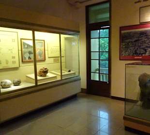 Im National Museum of History