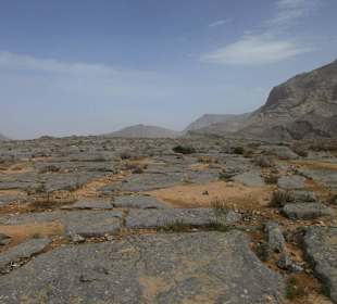 Safari nach Jebel Harim 