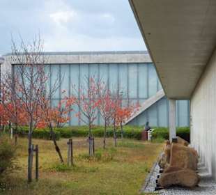 Widok przeszklonego bloku muzeum.