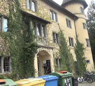 Schloss Königsegg Mittelzell