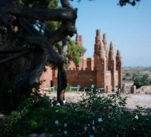 Disco der Superlative...