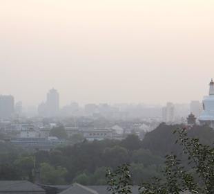 Widok z góry w parku w kierunku zachodnim.