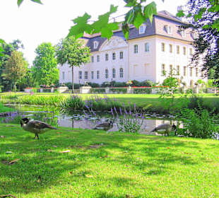 Schloss Fürst Pückler im Branitz Park