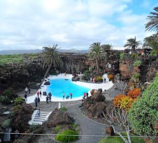 Jameos del Agua Garten