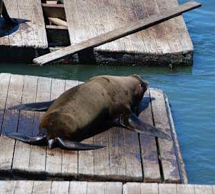 Fishermans Wharf