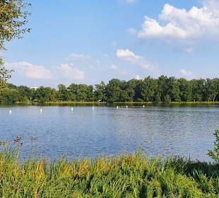 Der Dutzendteich