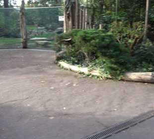 Zoologischer Garten