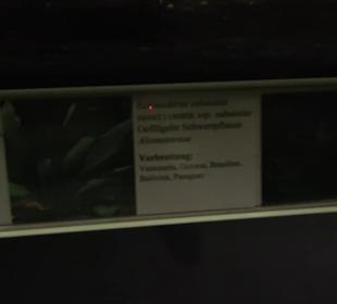 Aquarium