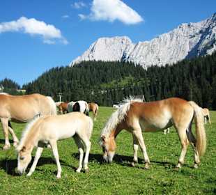 Ehrwald