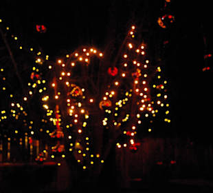 Lichterketten in den Bäumen