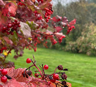 Wandern Bad Tatzmannsdorf
