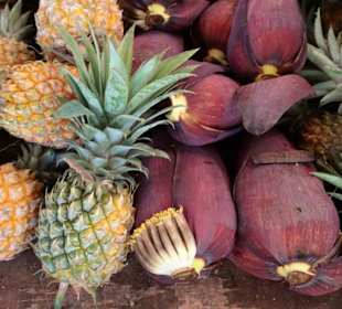 Rundgang über den Wochenmarkt von Saint Gilles