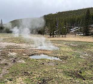 Yellowstone NationYellowstone Nationalparkalpark