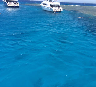 Riff während Ausflug