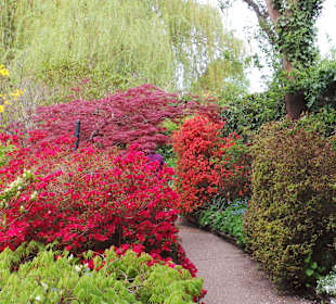 Farbenpracht im Monets Wassergarten