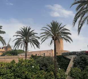 Stadtrundgang Cales de Mallorca / Calas de Mallorca