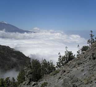 Teide