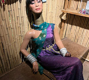 Museum Ripley's Believe It or Not!