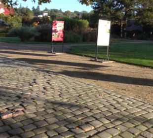 Botanischer Garten