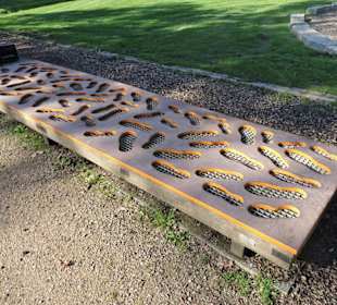 Der Motorikparcours im Park Speckenbüttel