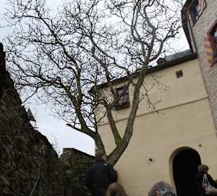 Während der Führung