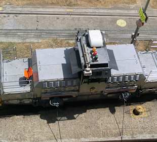 Muli spannt die Seile