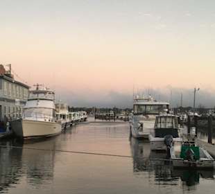 J´s Oyster Portland