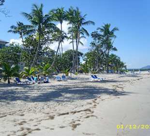 Strand circa 300 Meter vom Hotel BlueBay Villas Doradas entf